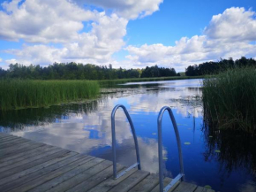 Dom nad jeziorem z prywatnym pomostem i linią brzegową in Orzysz
